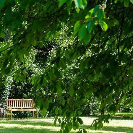 L'Ancien Prieure Bed & Breakfast Saint-Jean-de-la-Motte Екстериор снимка